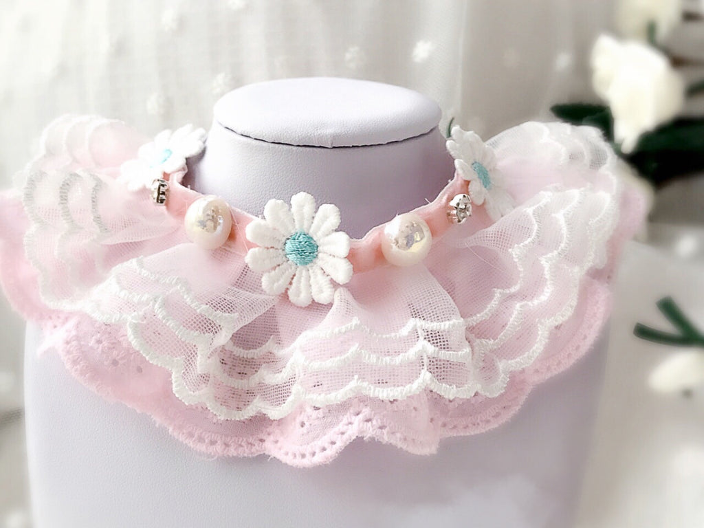 Embroidered Lace Collar (Pink/Baby Blue)